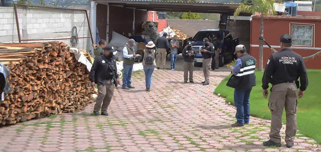La PFM cumplimenta orden de cateo en aserradero clandestino﻿ y asegura a una persona en Tlaxcala